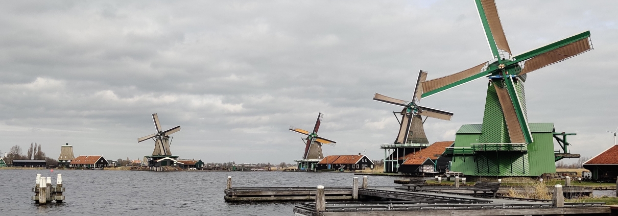 Accountant in Zaandam Hoenderdos